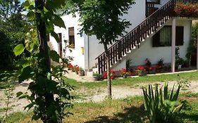 Apartment Manda